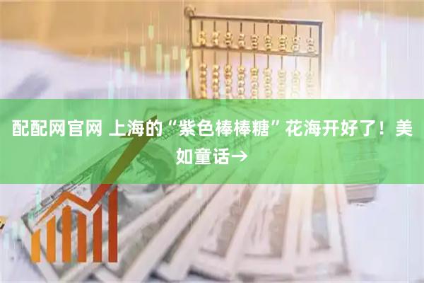 配配网官网 上海的“紫色棒棒糖”花海开好了！美如童话→