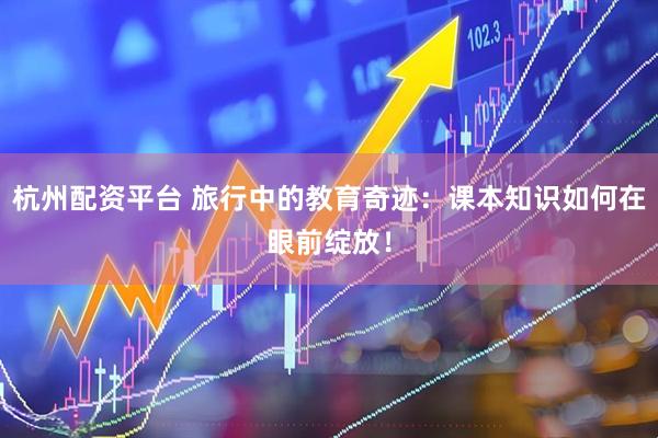 杭州配资平台 旅行中的教育奇迹：课本知识如何在眼前绽放！